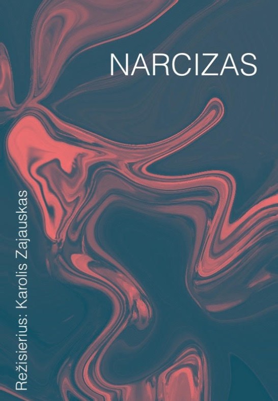 NAMAS Nr. 5: vizualinė kelionė ''Narcizas''